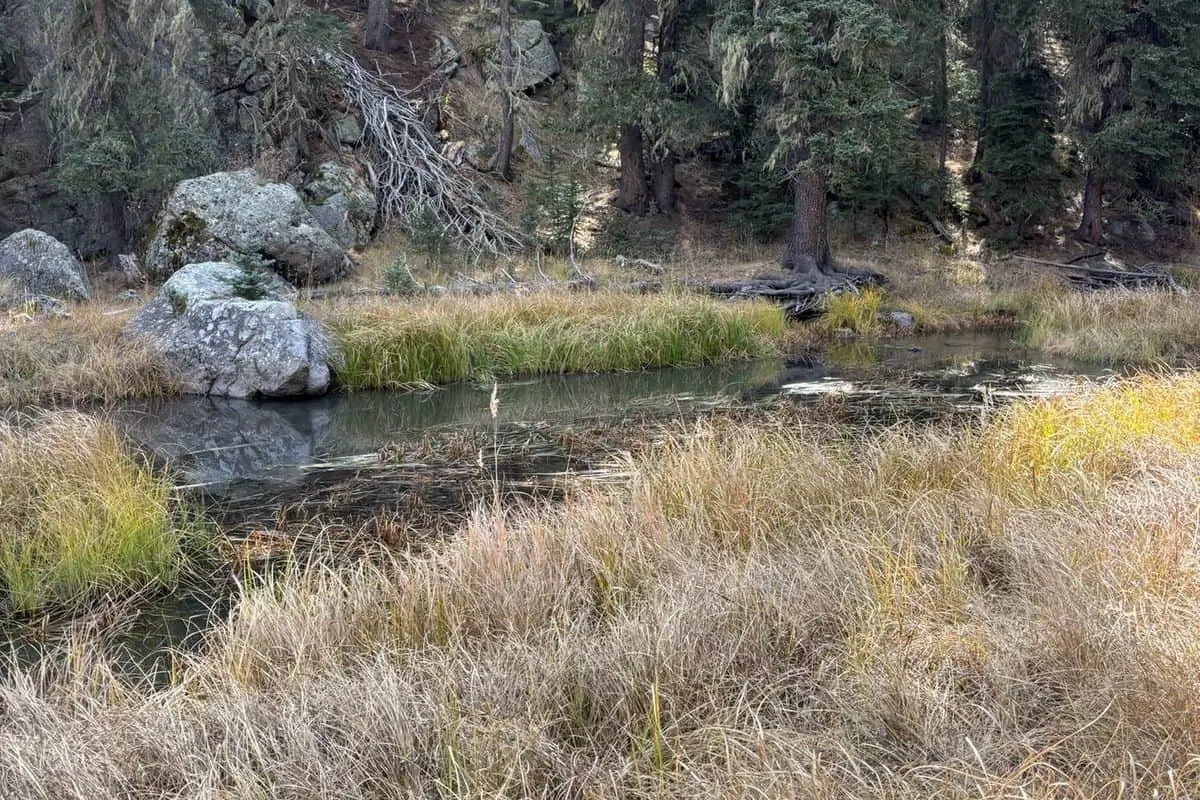 Valles Caldera Boondocking Locations