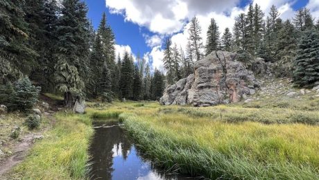 Valles Caldera Boondocking Locations
