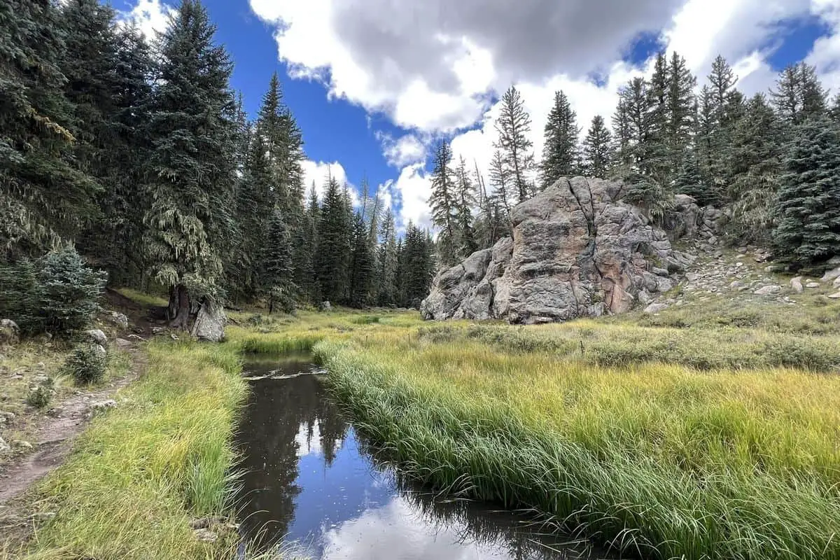 Valles Caldera Boondocking Locations