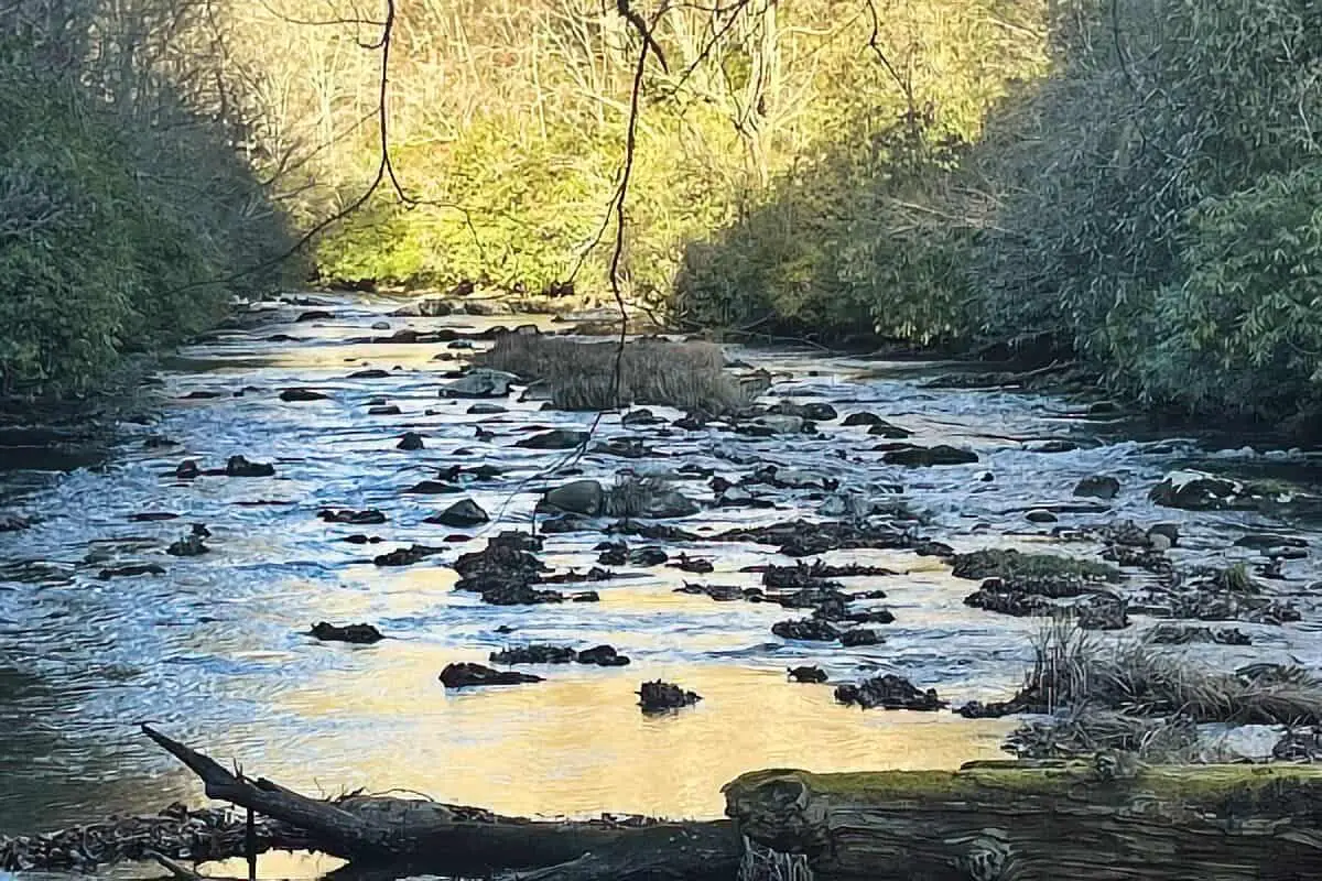 Deep Creek Loop