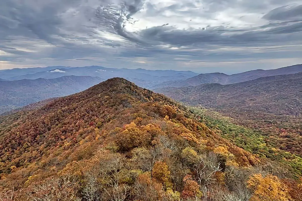 Gregory Bald Trail