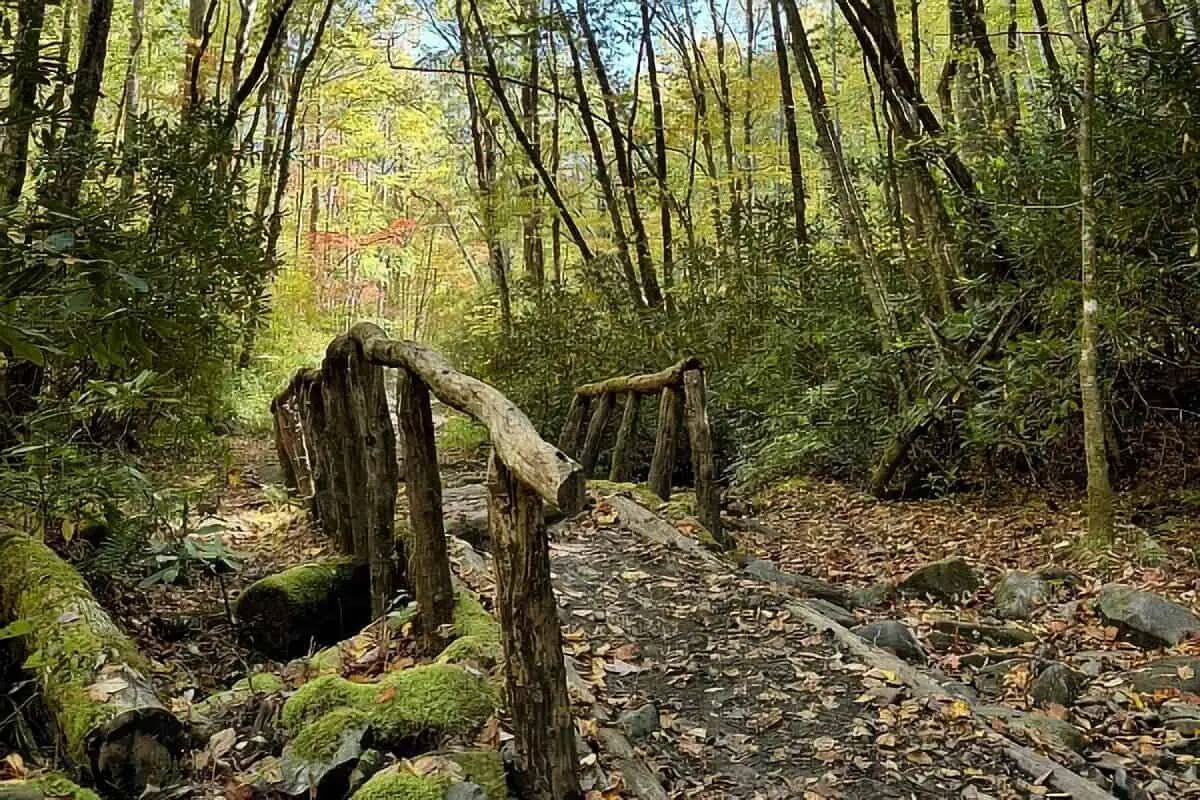 Middle Prong Trail