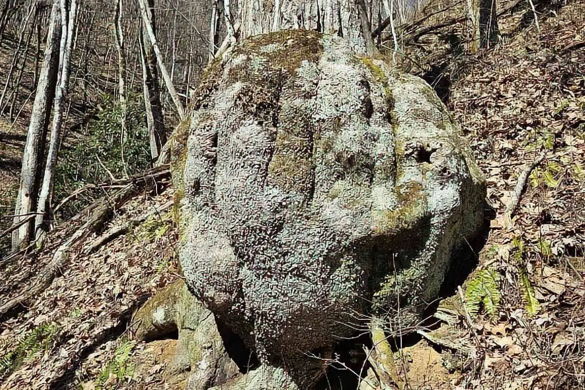 Kanati Fork Trail
