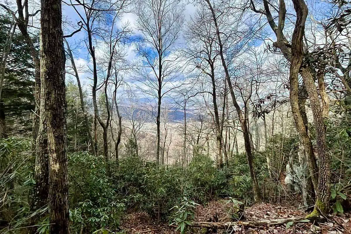Cosby Creek Trail