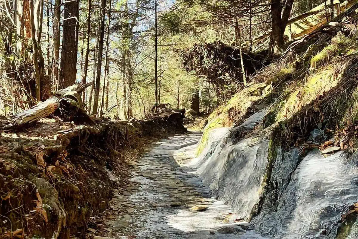 Alum Trail