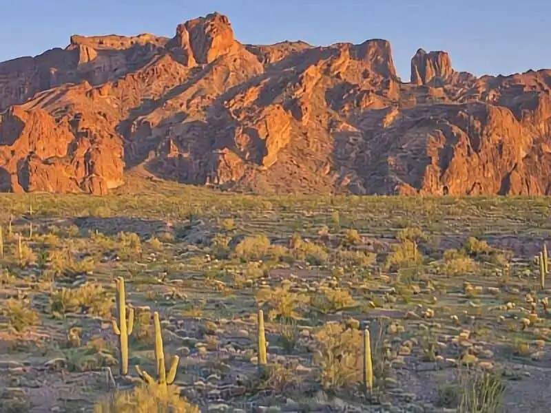 265. Kofa Castle Dome - Arizona Boondocking