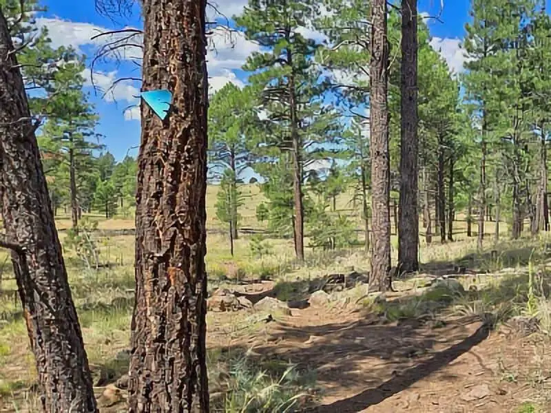 274. Larson Ridge - Arizona Boondocking