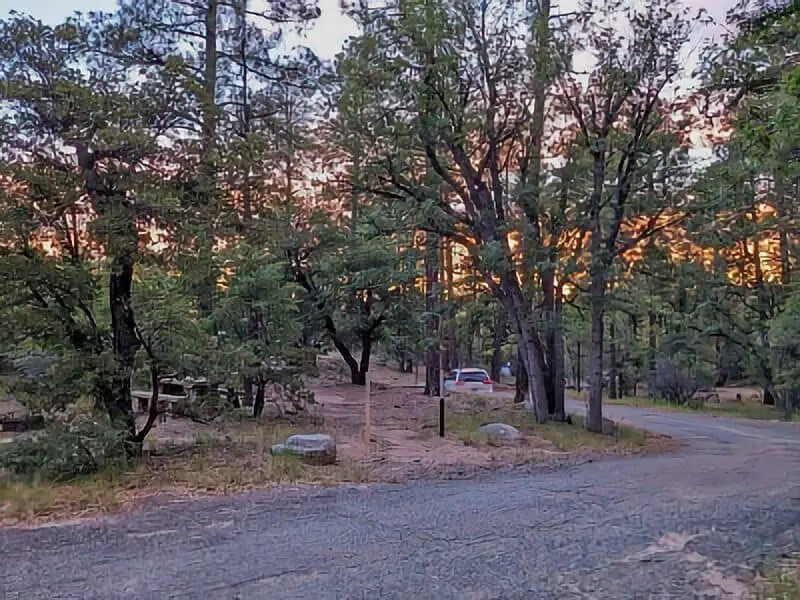 286. Lower Wolf Creek - Arizona Campground
