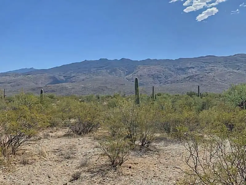297. Mesquite Flats - Arizona Boondocking