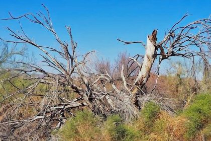304. Mittry Lake Wildlife Area – Arizona Boondocking 304. Mittry Lake Wildlife Area - Arizona Boondocking