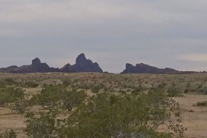 313. Needle Mt Road - Arizona Boondocking