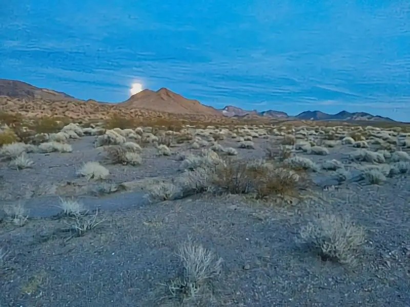 328. Oatman Road Pull Off - Arizona Boondocking