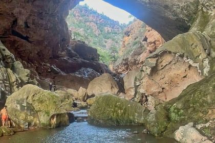 329. Ocotillo - Arizona Boondocking