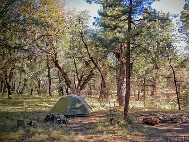 341. Pinery Canyon Campground - Arizona CG