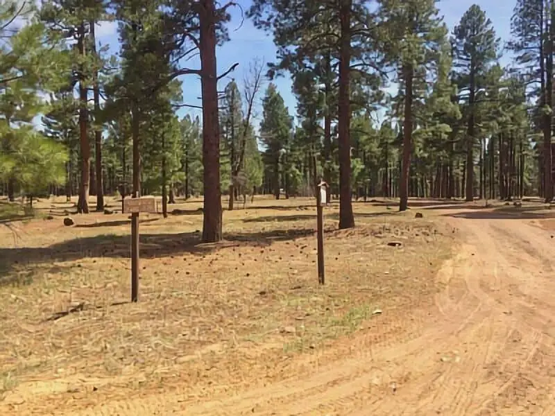 351. Boondocking Pumphouse Wash Flagstaff
