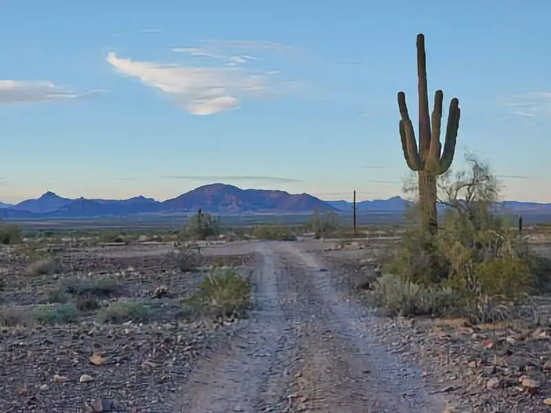 378. Boondocking Saddle Mountain BLM Tonopah