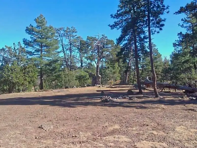 386. Boondocking Schnebly Hill Rd FR226