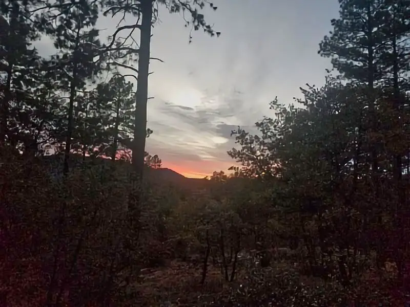 388. Boondocking Senator Highway Prescott