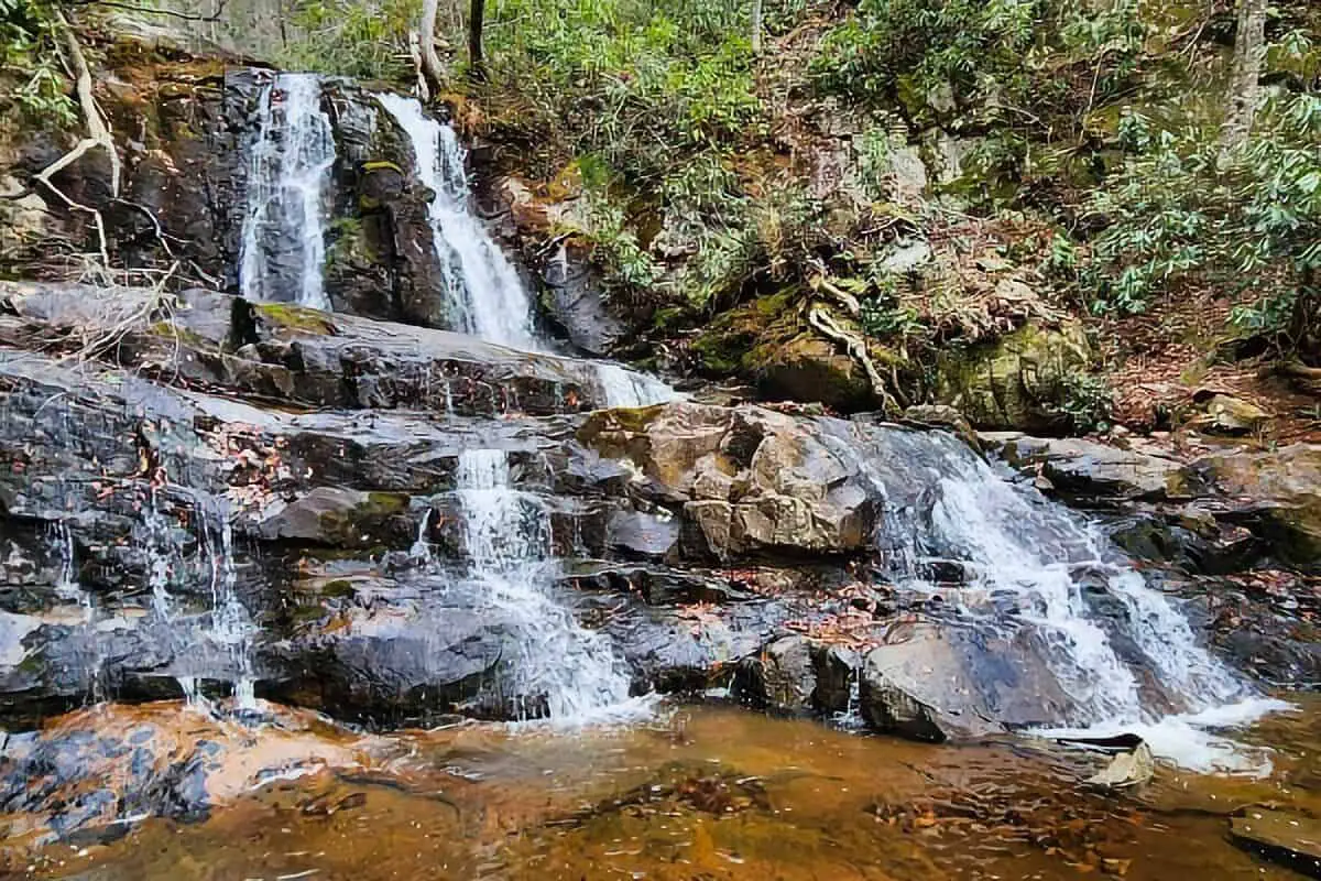 Laurel Falls Trail