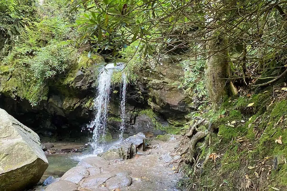 Grotto Falls Trail