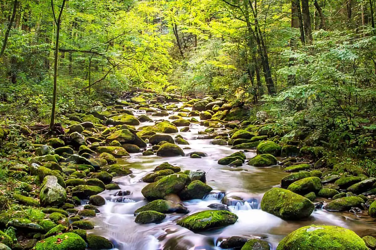 Smoky Mountains National Park
