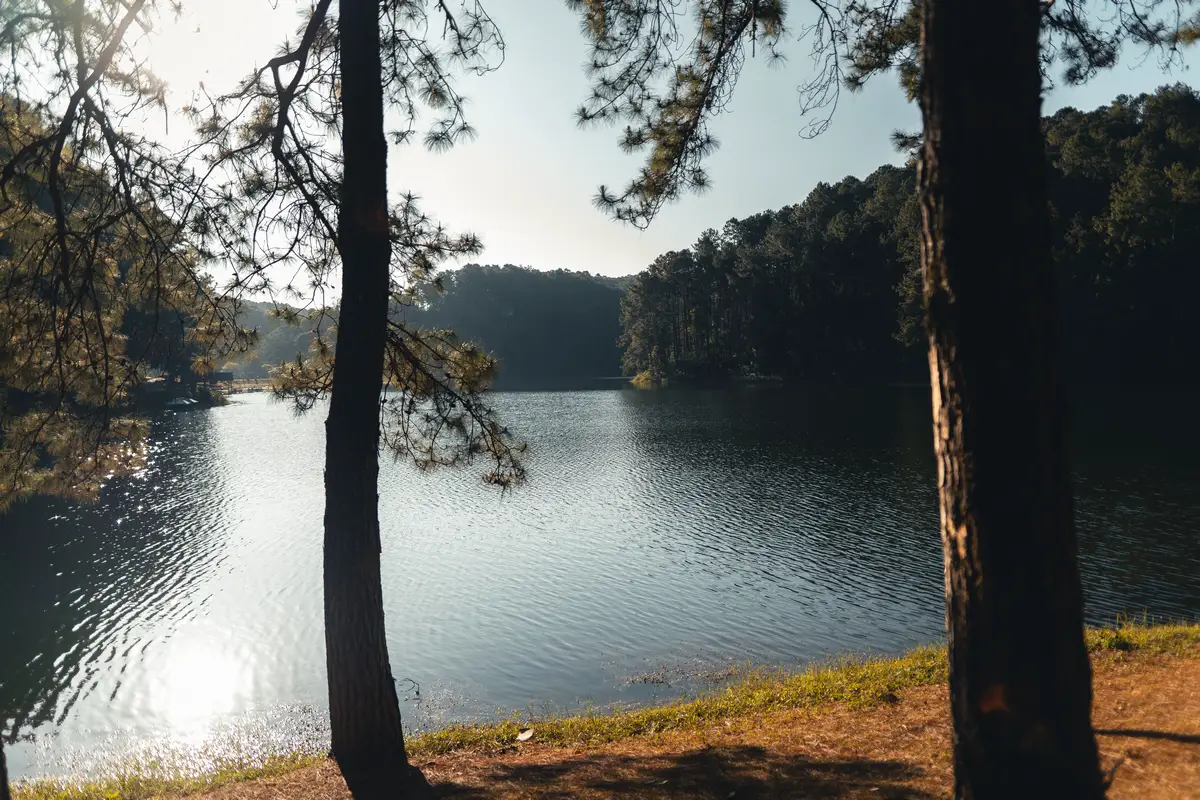 Mark Twain National Forest Boondocking