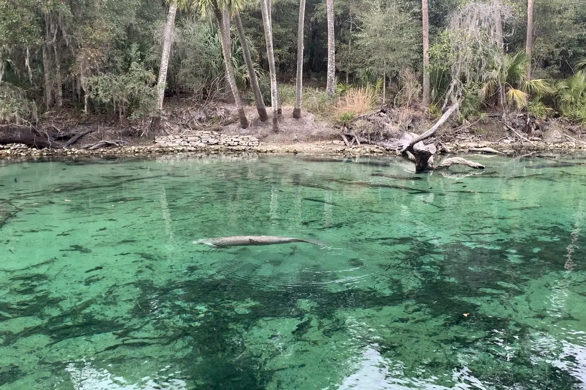 Missouri Blue Springs Boondocking Locations