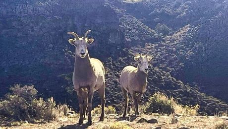 Rio Grande Gorge Boondocking Locations