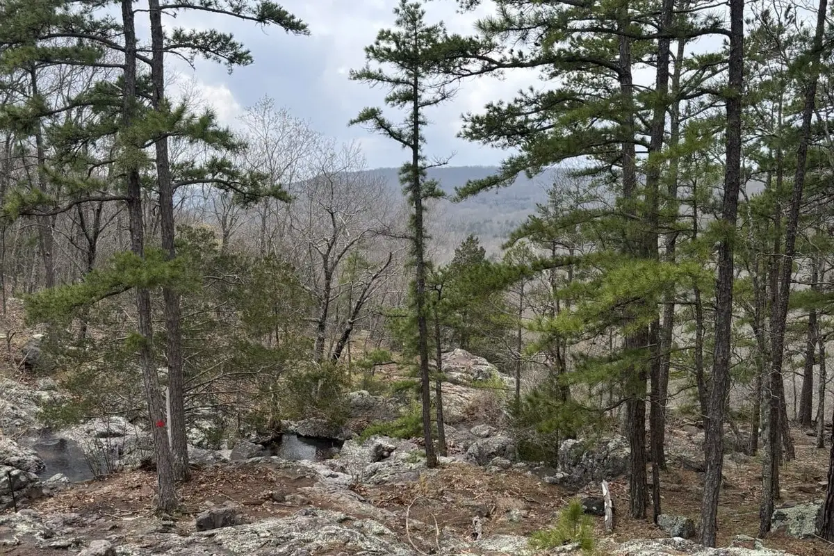Taum Sauk Mountain