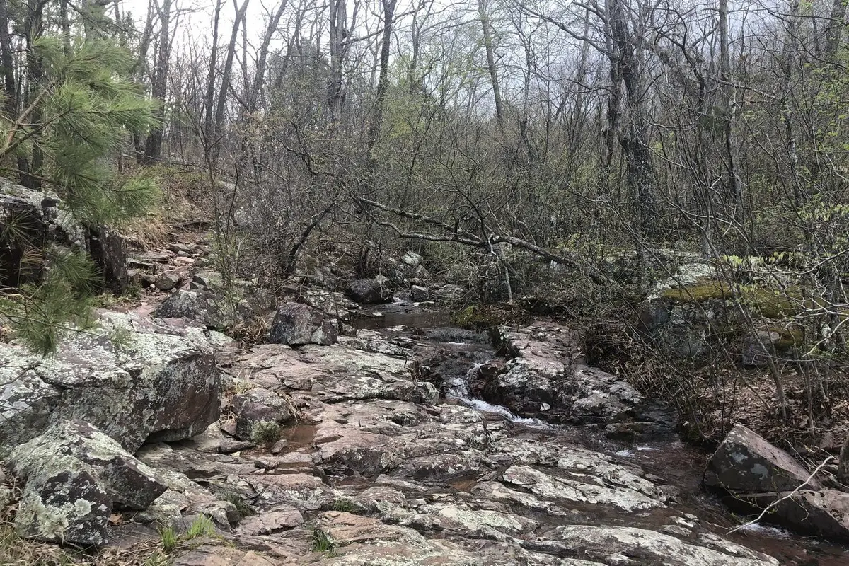 Taum Sauk Mountain