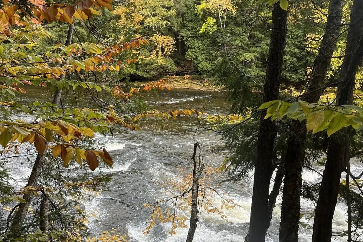 Hanson Creek Boondocking in Rock River, MI