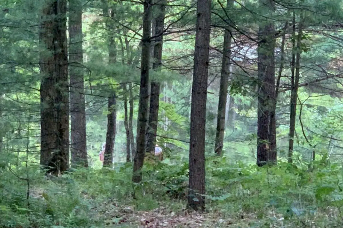 Lake Dubonnet Trail Campground in Interlochen, MI