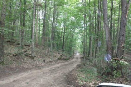 55 Lime Lake Boondocking in Lake Ann, MI Lime Lake Boondocking in Lake Ann, MI