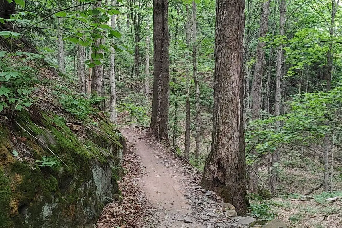 Wild Cat Road Boondocking in Paradise, MI