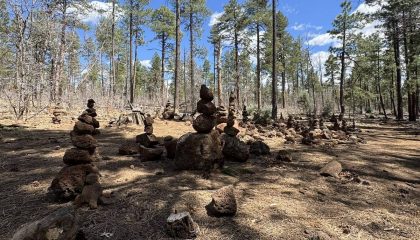 Apache-Sitgreaves National Forest