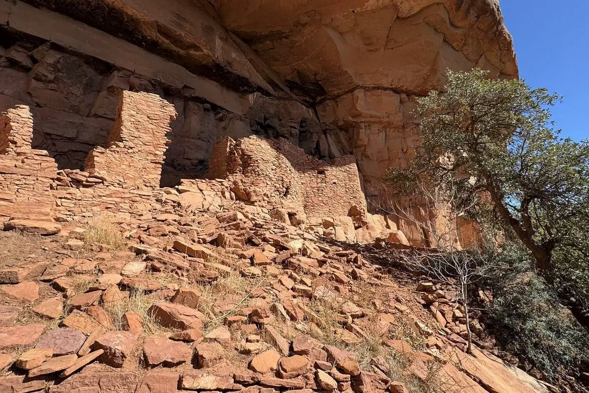 Coconino National Forest