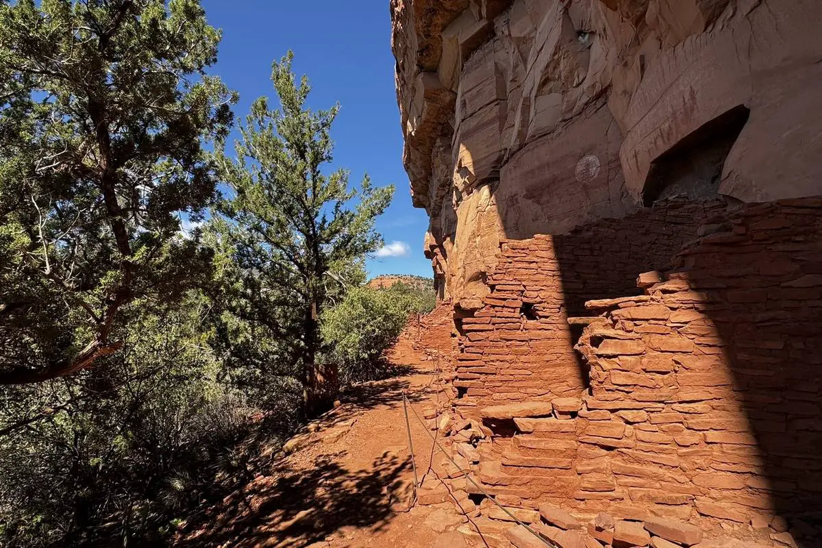Coconino National Forest