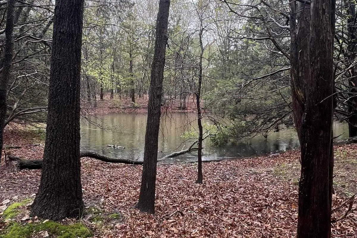 Harry S. Truman Lake
