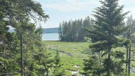 Maine Coastal Islands