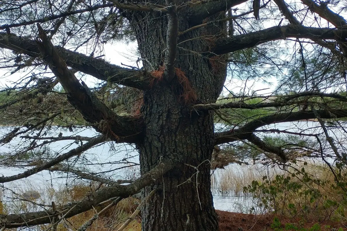 Moosehorn National Wildlife Refuge