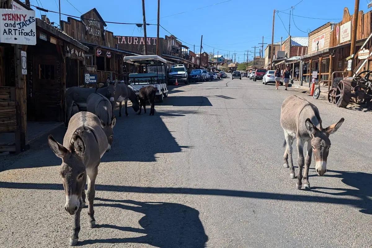 Oatman Arizona Ghost Town
