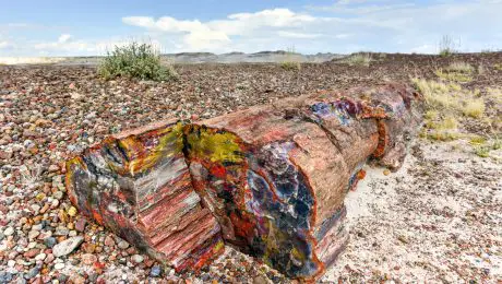 Petrified Forest National Park Boondocking Locations