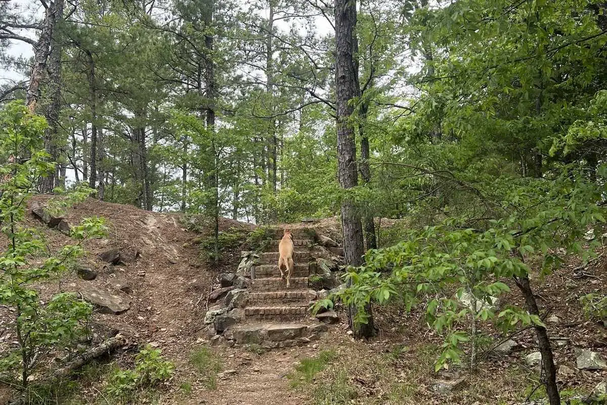 Pinnacle-Mountain