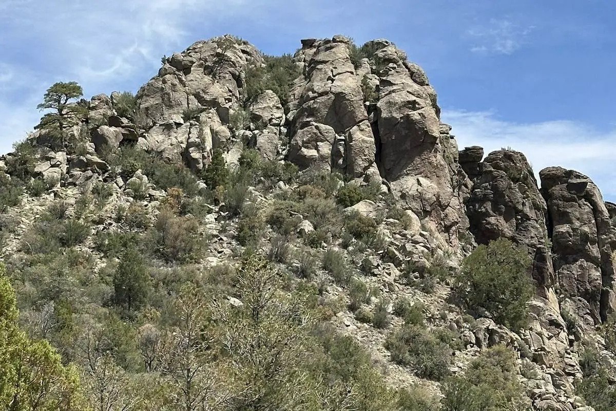 Prescott National Forest
