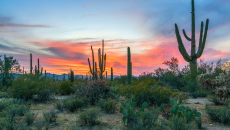 Saguaro National Park Boondocking Locations