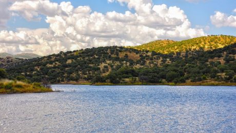 San Carlos Reservoir