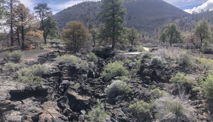 Sunset Crater National Monument