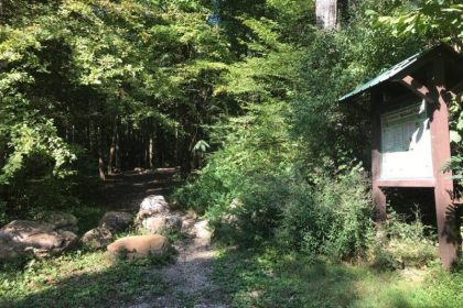 Cherokee National Forest Boondocking in Delano, TN