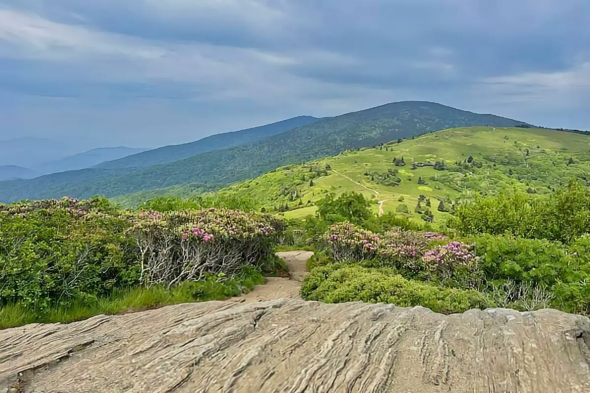 Tuckaleechee Caverns Boondocking Locations