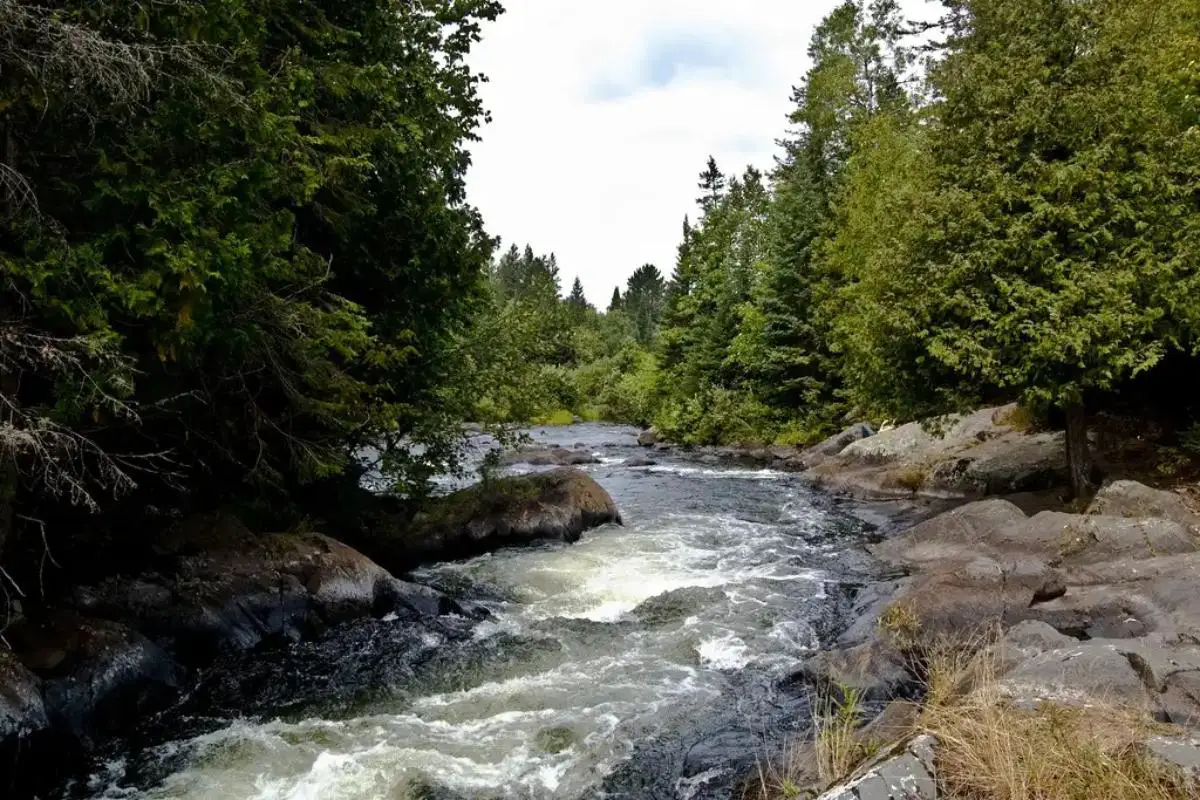 Sturgeon River Campground in Covington, MI